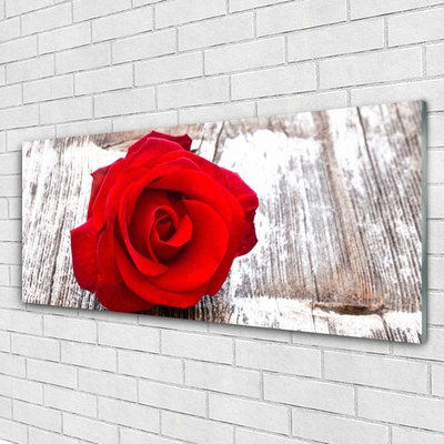 Plexiglas® Wall Art Rose floral red