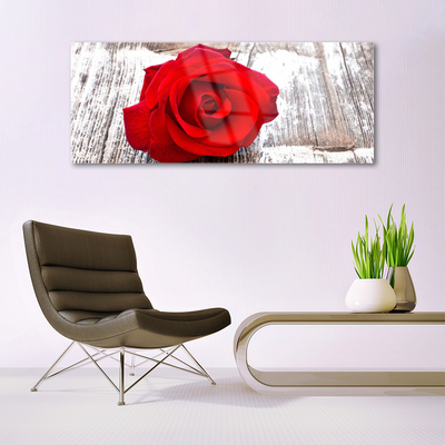 Plexiglas® Wall Art Rose floral red