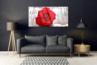Plexiglas® Wall Art Rose floral red