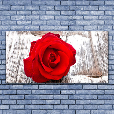 Plexiglas® Wall Art Rose floral red