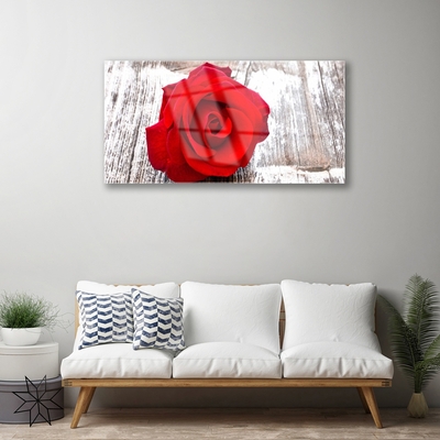 Plexiglas® Wall Art Rose floral red