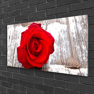 Plexiglas® Wall Art Rose floral red