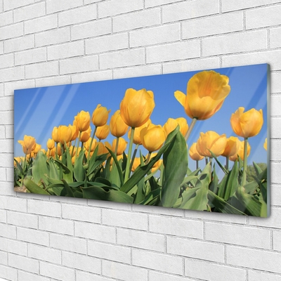 Plexiglas® Wall Art Tulips floral yellow