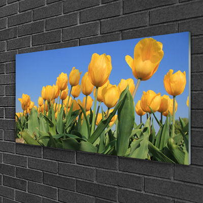 Plexiglas® Wall Art Tulips floral yellow