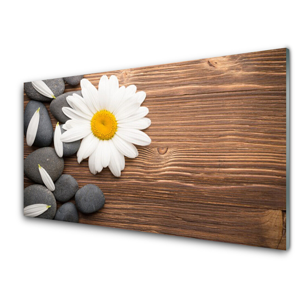 Plexiglas® Wall Art Daisy stones floral yellow white grey