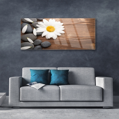 Plexiglas® Wall Art Daisy stones floral yellow white grey