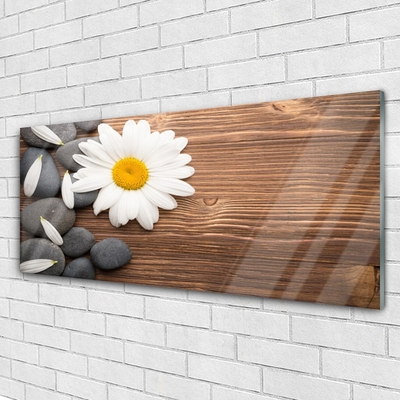 Plexiglas® Wall Art Daisy stones floral yellow white grey