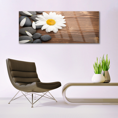 Plexiglas® Wall Art Daisy stones floral yellow white grey