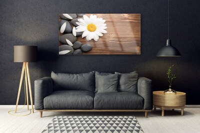 Plexiglas® Wall Art Daisy stones floral yellow white grey