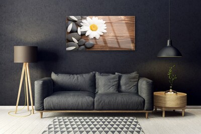 Plexiglas® Wall Art Daisy stones floral yellow white grey