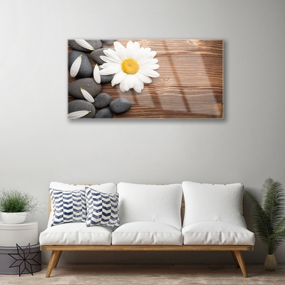 Plexiglas® Wall Art Daisy stones floral yellow white grey