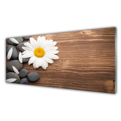 Plexiglas® Wall Art Daisy stones floral yellow white grey