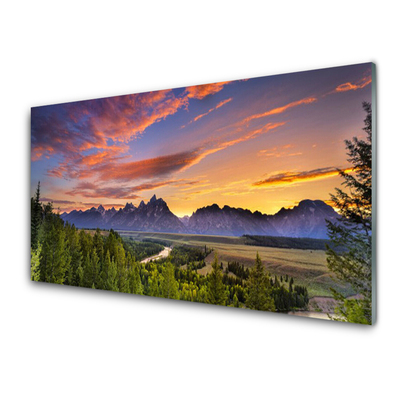 Plexiglas® Wall Art Mountain forest nature grey green