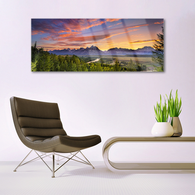 Plexiglas® Wall Art Mountain forest nature grey green