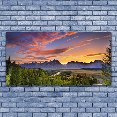 Plexiglas® Wall Art Mountain forest nature grey green