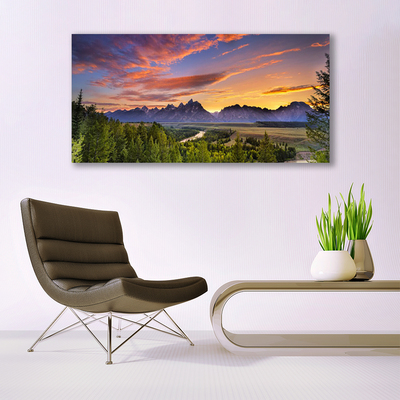 Plexiglas® Wall Art Mountain forest nature grey green