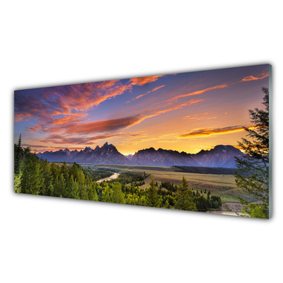 Plexiglas® Wall Art Mountain forest nature grey green