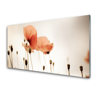 Plexiglas® Wall Art Poppies floral red