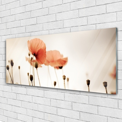 Plexiglas® Wall Art Poppies floral red