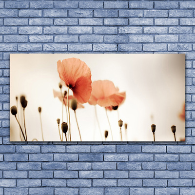 Plexiglas® Wall Art Poppies floral red