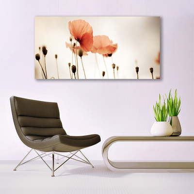 Plexiglas® Wall Art Poppies floral red