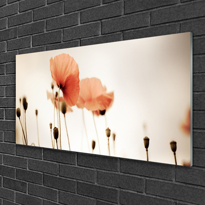 Plexiglas® Wall Art Poppies floral red