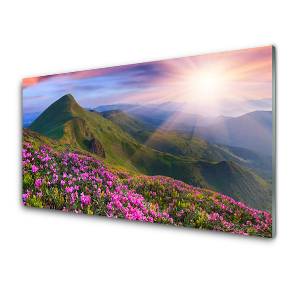 Plexiglas® Wall Art Mountains meadow flowers landscape blue green pink