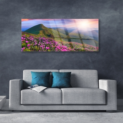 Plexiglas® Wall Art Mountains meadow flowers landscape blue green pink