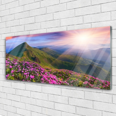 Plexiglas® Wall Art Mountains meadow flowers landscape blue green pink