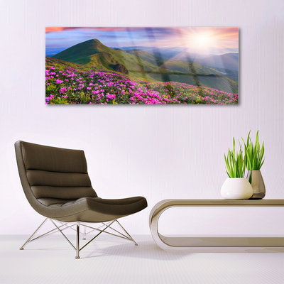 Plexiglas® Wall Art Mountains meadow flowers landscape blue green pink