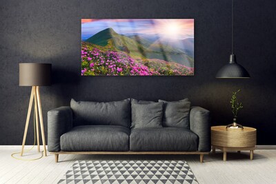 Plexiglas® Wall Art Mountains meadow flowers landscape blue green pink