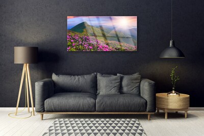 Plexiglas® Wall Art Mountains meadow flowers landscape blue green pink