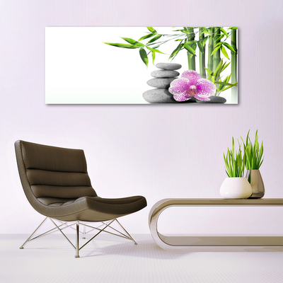 Plexiglas® Wall Art Bamboo cane flower stones floral green pink grey