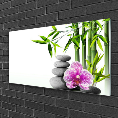Plexiglas® Wall Art Bamboo cane flower stones floral green pink grey