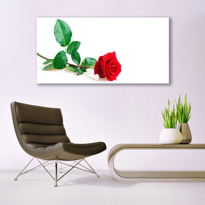 Plexiglas® Wall Art Rose floral red