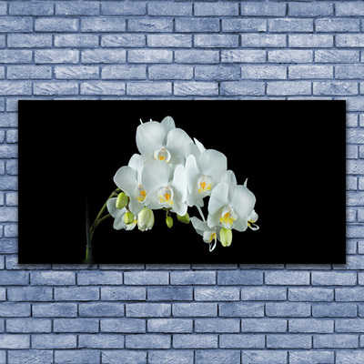 Plexiglas® Wall Art Flowers floral white