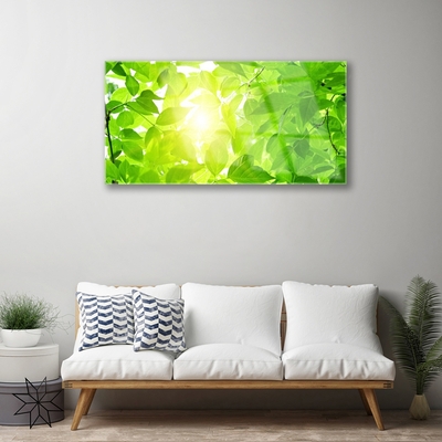 Plexiglas® Wall Art Leaves floral green