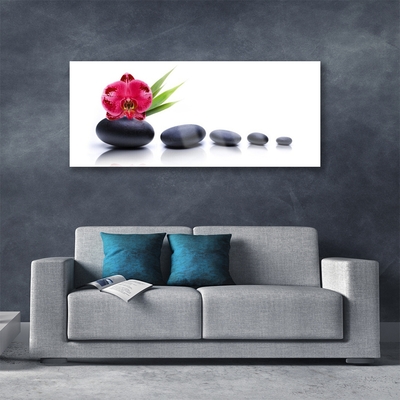 Plexiglas® Wall Art Flower stones art red grey