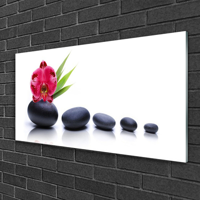 Plexiglas® Wall Art Flower stones art red grey