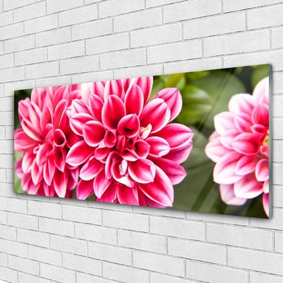 Plexiglas® Wall Art Flowers floral red white