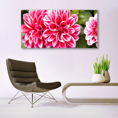 Plexiglas® Wall Art Flowers floral red white