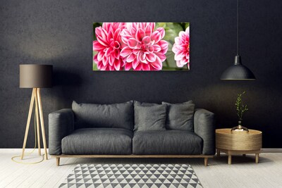 Plexiglas® Wall Art Flowers floral red white