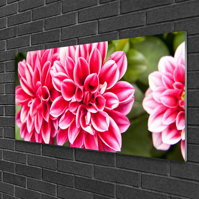 Plexiglas® Wall Art Flowers floral red white