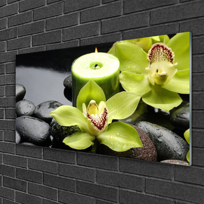 Plexiglas® Wall Art Flower stones floral green black