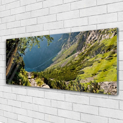 Plexiglas® Wall Art Mountain forest nature grey green