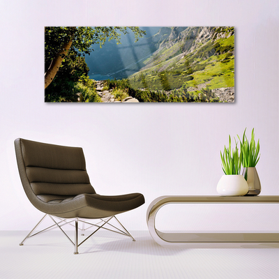 Plexiglas® Wall Art Mountain forest nature grey green