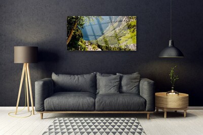 Plexiglas® Wall Art Mountain forest nature grey green