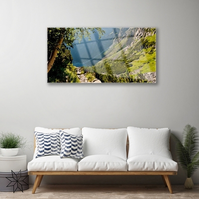 Plexiglas® Wall Art Mountain forest nature grey green