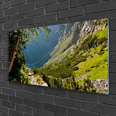 Plexiglas® Wall Art Mountain forest nature grey green