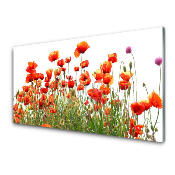 Plexiglas® Wall Art Poppies nature red